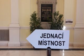 Čtyři komise u ní invaliditu nenašly. Nejsem schopná pracovat, tvrdila žena Ústavnímu soudu - Novinky